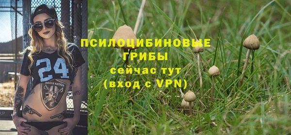 альфа пвп Медвежьегорск
